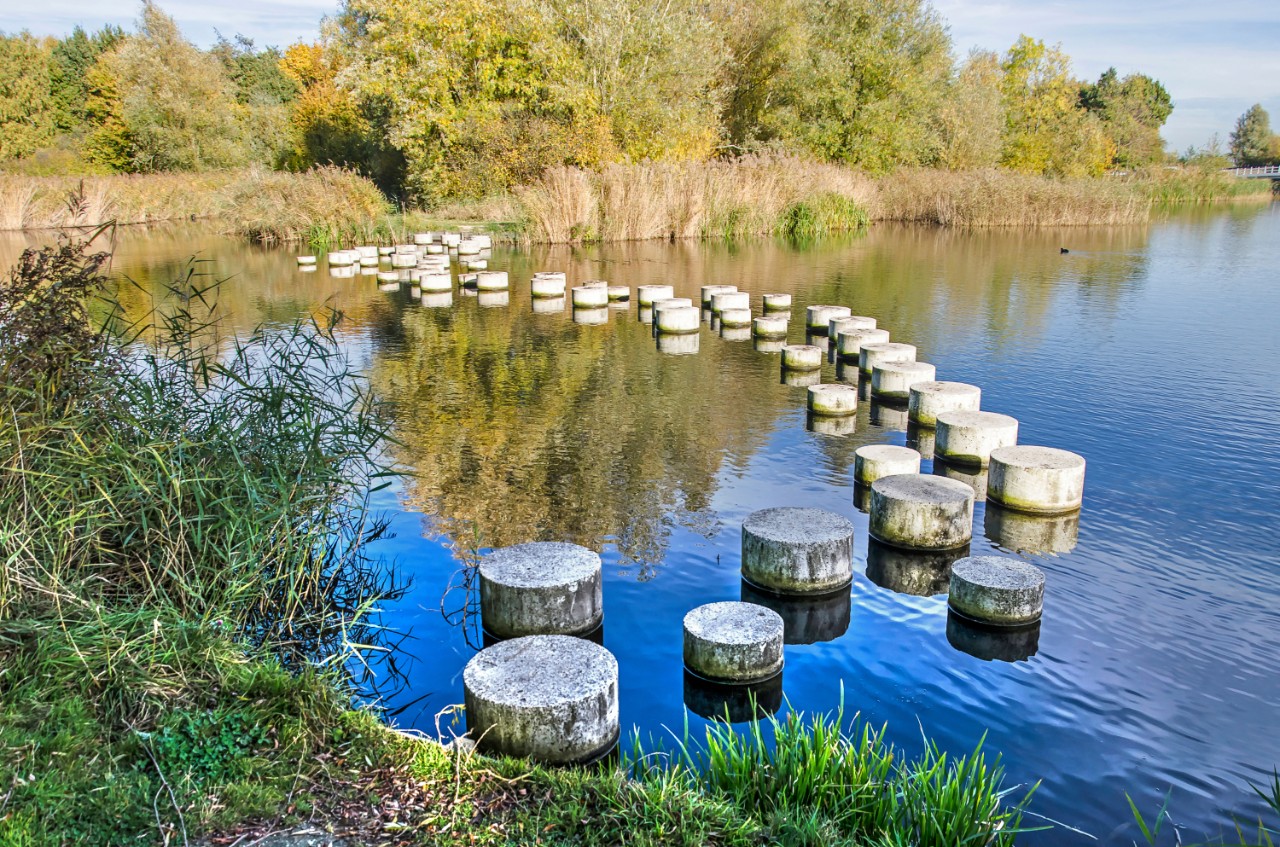 Meer met palen in het water en gras