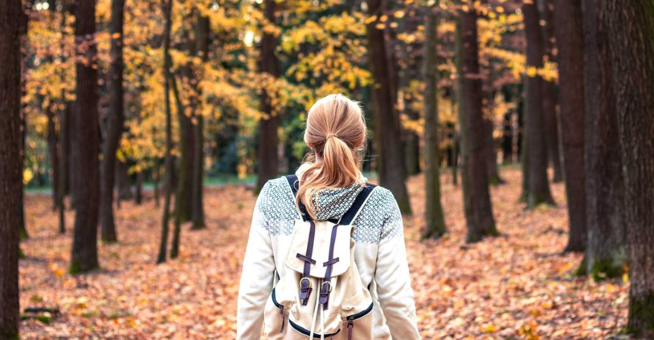 Vrouw wandelt in bos